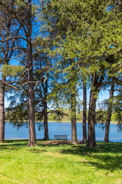 istock Beautiful lake with forest  on sunny spring day. 971700678