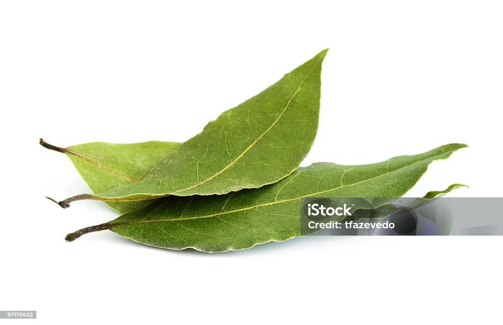 Group of three fresh bay leaves Bay leaves isolated over white background Bay Leaf Stock Photo