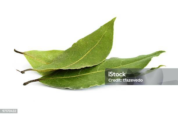 Group Of Three Fresh Bay Leaves Stock Photo - Download Image Now - Bay Leaf, White Background, Leaf