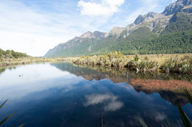 istock New Zealand nature 971719494