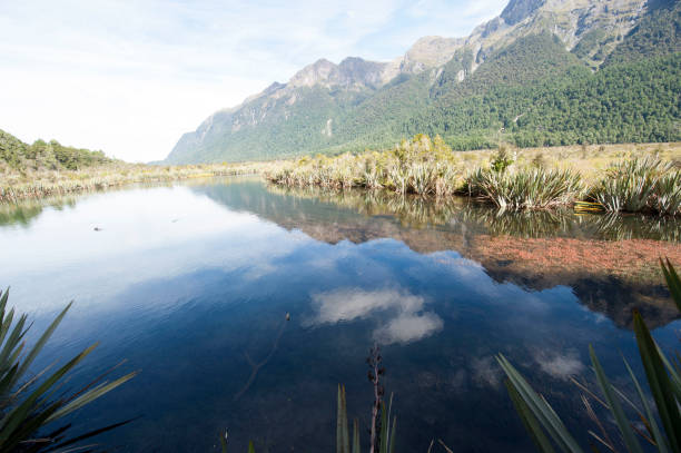 istock New Zealand nature 971719502