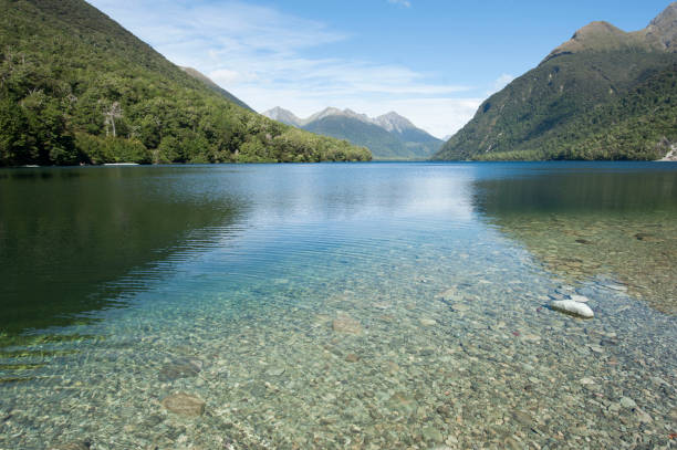 istock New Zealand nature 971719520