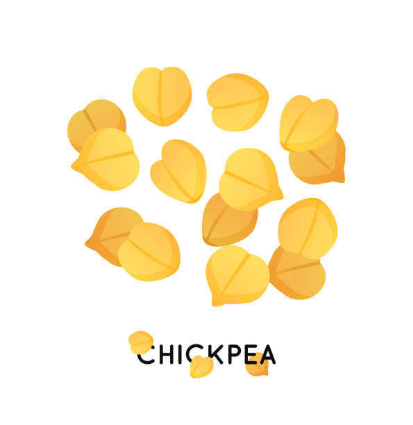 Agro culture chickpea seeds icon. Cereals chickpea illustration A handful of chickpea seed. Cereals chickpea illustration. chickpea stock illustrations