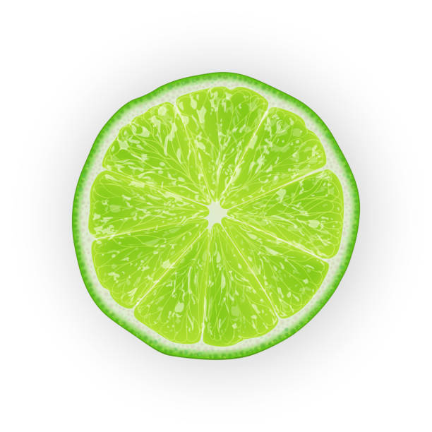 istock Realistic 3d Vector Illustration of sliced green lime fruit. Colourful citrus. Good for packaging design and ad. 971742090