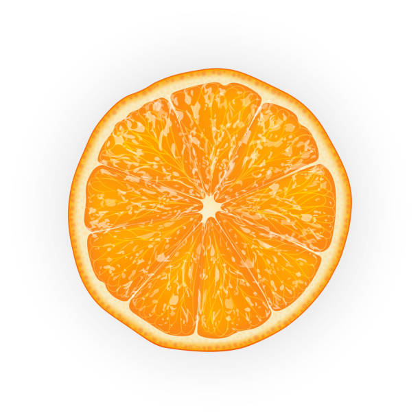 istock Realistic 3d Vector Illustration of sliced orange fruit. Colourful citrus. Good for packaging design and ad. 971742190
