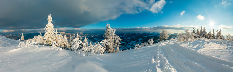 Evening sunshiny winter calm mountain landscape with beautiful frosting trees, footpath and ski track through snowdrifts on mountain slope (Carpathian Mountains, Ukraine). High-resolution panorama.