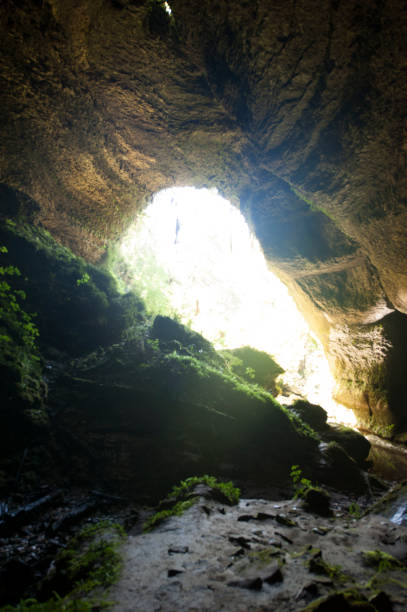 istock New Zealand caves 971747948