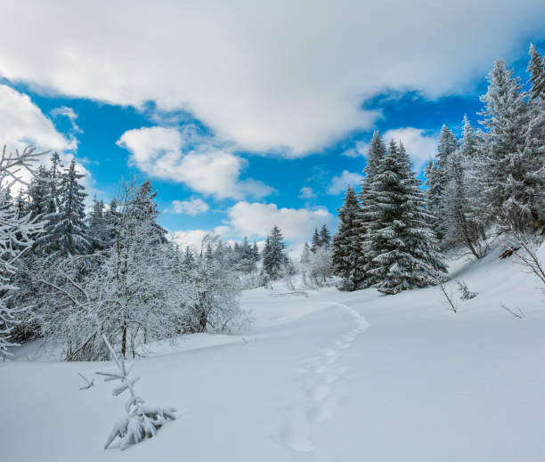 istock Winter mountain snowy landscape 971747984