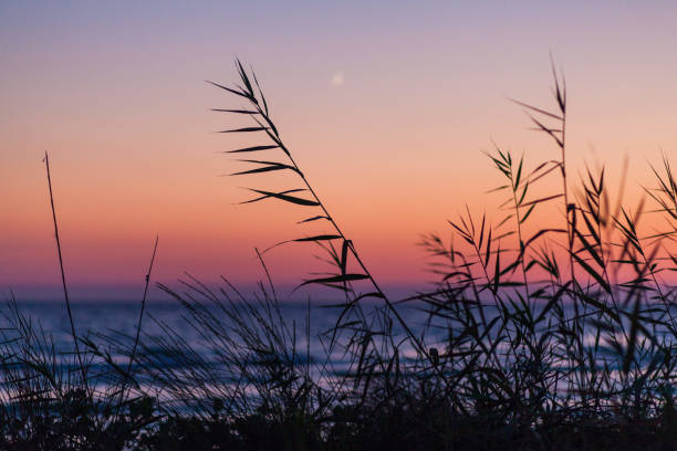 istock Magical sunset on the beach with the view on the young moon. 971766538