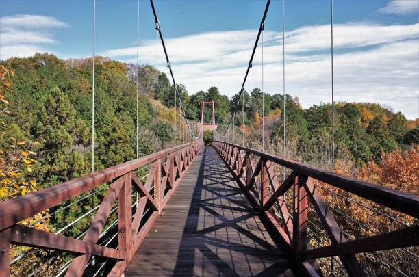 Suspension bridge in the nature stock photo