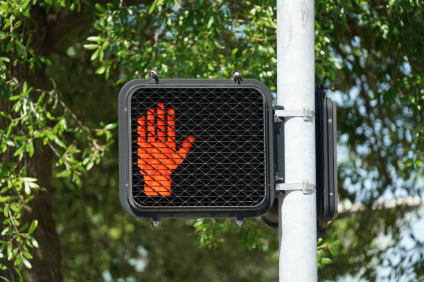 istock Crosswalk Signal 971777056