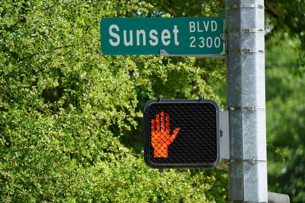 istock Crosswalk Signal 971777198