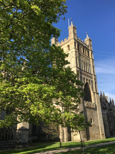 istock Mature sycamore tree on Cathedral green in Exeter - May 2018 971782384