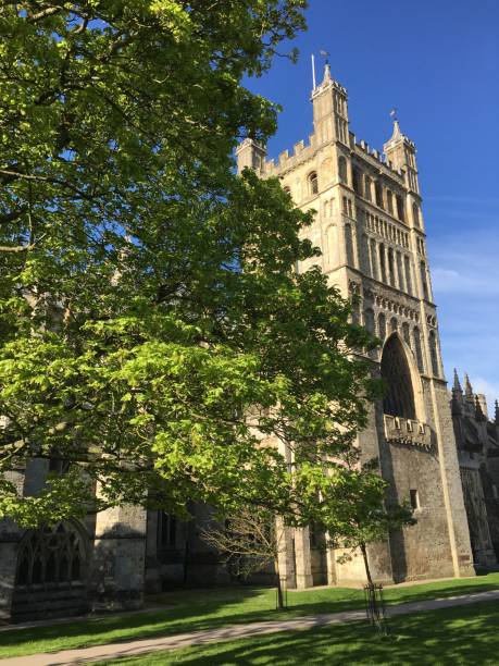 istock Mature sycamore tree on Cathedral green in Exeter - May 2018 971788384