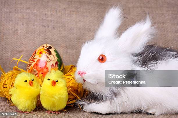 Foto de Cartão De Páscoa e mais fotos de stock de Amarelo - Amarelo, Aniagem de Cânhamo, Animal