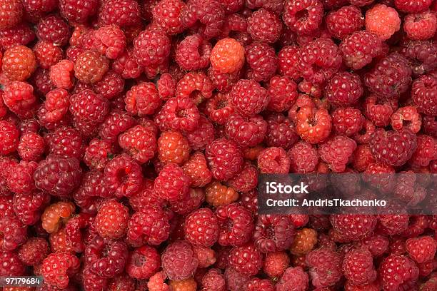 Wild Raspberries Fondo Foto de stock y más banco de imágenes de Alimento - Alimento, Color - Tipo de imagen, Comida gourmet