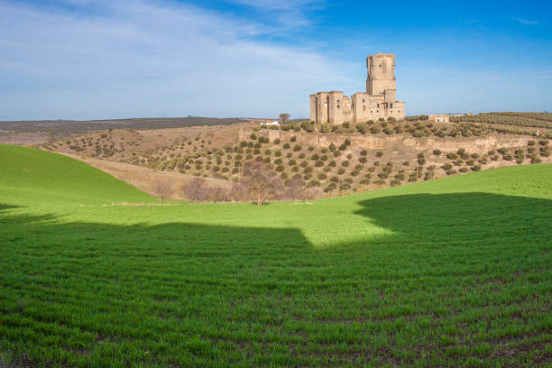 Belalcazar Castle from green cereals field, Cordoba, Spain. With the highest tower in Spain