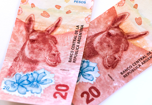 New serie of Argentina banknotes with animals endangered