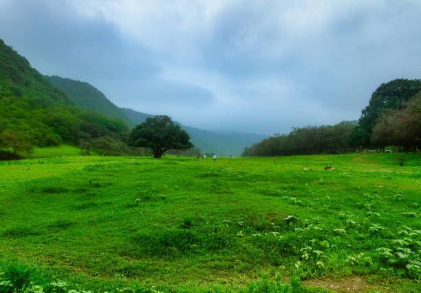 Oman, Salalah  nature in Autumn