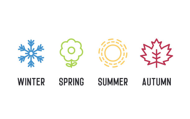 ilustrações de stock, clip art, desenhos animados e ícones de four seasons icon set. 4 vector graphic element illustrations representing winter, spring, summer, autumn. snowflake, flower, sun and maple leaf - summer flower spring sun