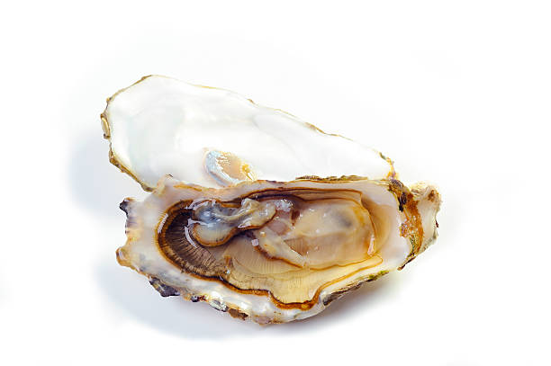 生オイスター - pacific oyster ストックフォトと画像