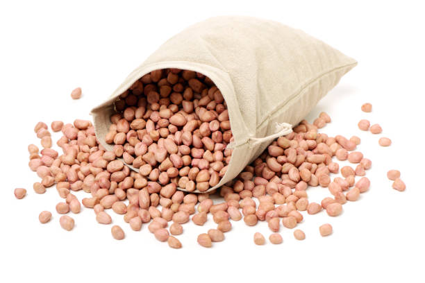 istock Peeled peanuts scattered from a wooden bowl on white background 971832602