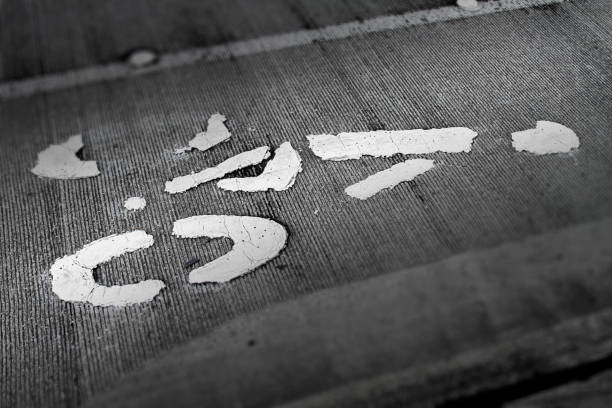istock Bicycle lane stencil on a Seattle street 971838416
