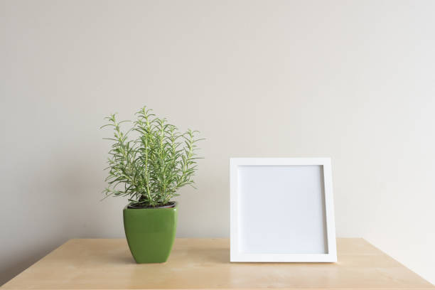 istock Rosemary in pot and blank square frame on shelf 971856892