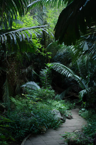 istock cave in thailand 971857412
