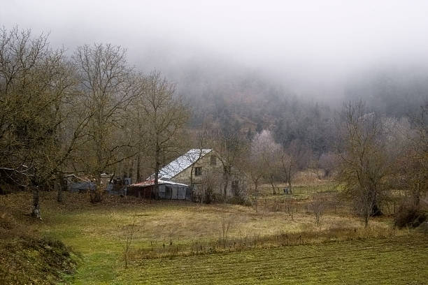 istock Farm in the mist 97189484