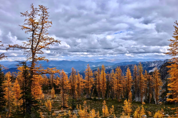 istock Hiking around Vancouver, British Columbia. 971903750