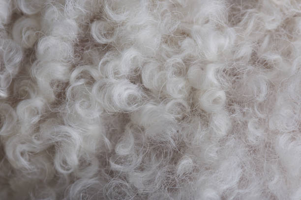 istock Closeup of white wool patern 971903814