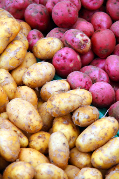 разделенный цвет - red potato raw potato market red стоковые фото и изображения