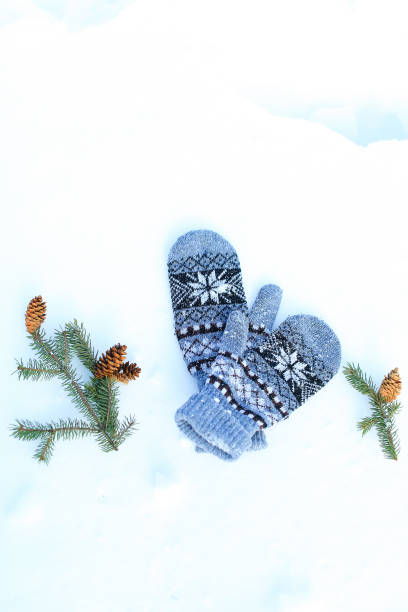 istock Blue mittens and fir cones lying on snow 971937426