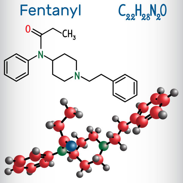 Fentanyl molecule. It is opioid analgesic. Structural chemical formula and molecule model. Fentanyl molecule. It is opioid analgesic. Structural chemical formula and molecule model. Vector illustration fentanyl stock illustrations
