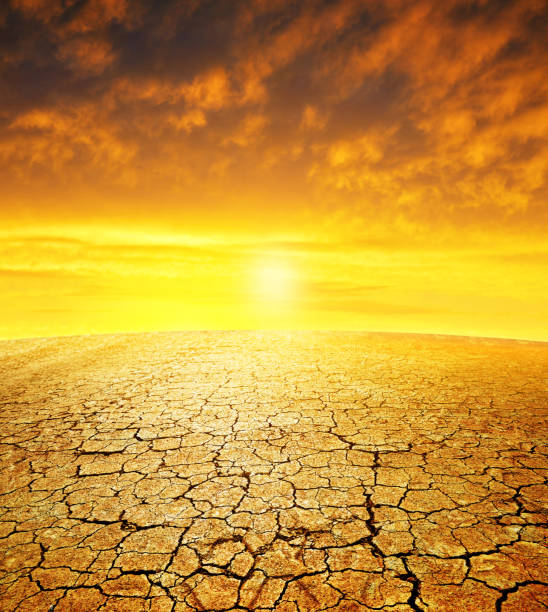 istock Dry country with cracked soil at sunset. 971940294