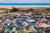istock Discarded plastic flip flop garbage pollution on the beach 971949448