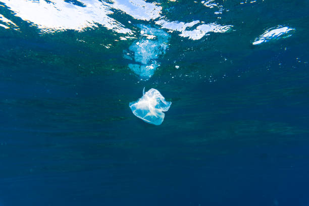istock Environmental Issue Underwater image of Plastic in the Ocean 971949920