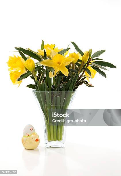 Daffodils In Vase Stock Photo - Download Image Now - Bouquet, Celebration, Color Image
