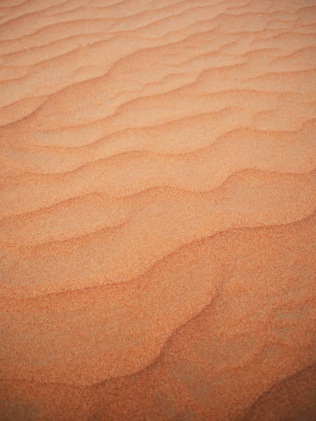istock Sand in the desert. Abstract dune background. 971977474