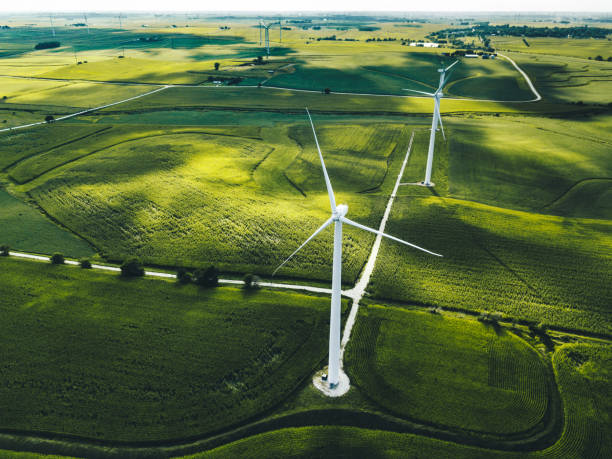 istock wind turbine field 971983524
