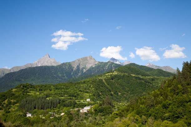 istock Mountanius region and forest. 971995190