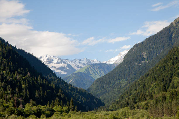 mountanius 지역 그리고 숲입니다. - valley georgia river mountain 뉴스 사진 이미지