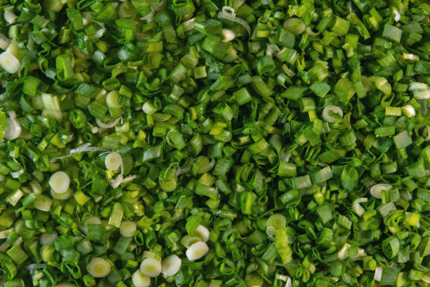 istock Macro background texture of green chives 971998304