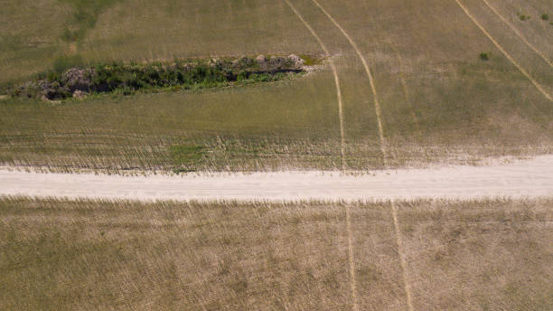 istock agriculture green fields aerial view 972010196