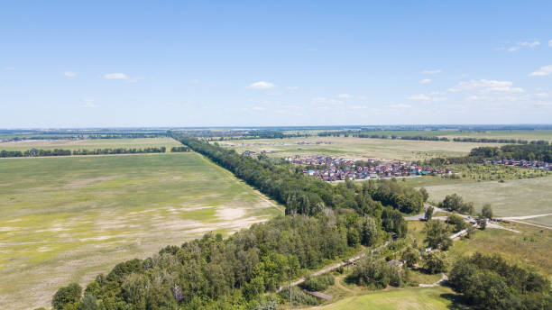 istock agriculture green fields aerial view 972010408