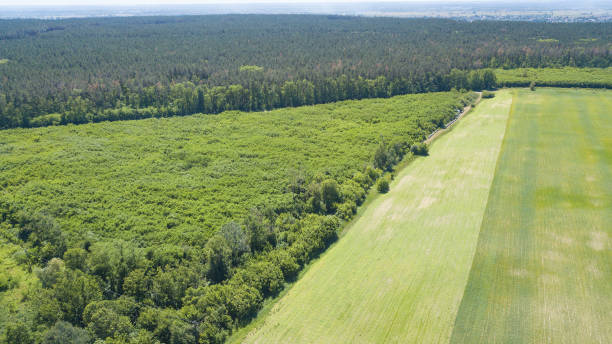 istock agriculture green fields aerial view 972012546