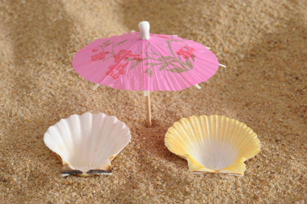 istock vacation at beach with two mussels and sunshade 972020014