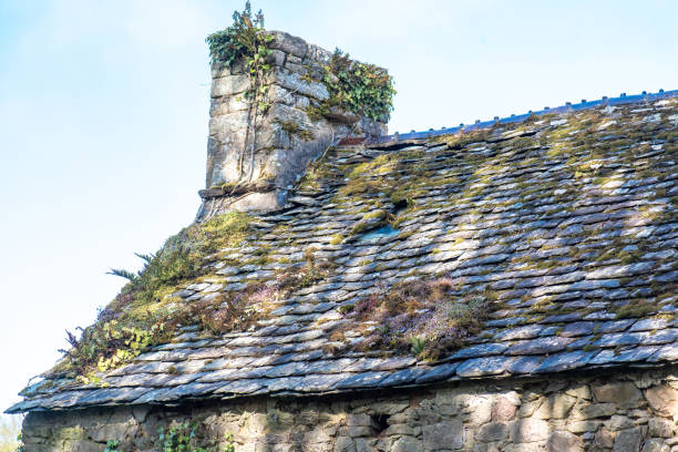 istock Moss and lichens on an old slate roof 972029904