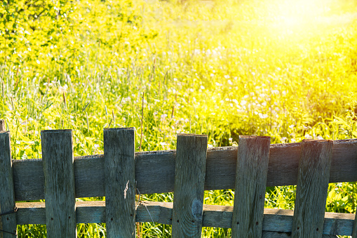 Wooden fence with green landscape. Summer nature background